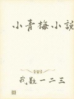 小青梅小说