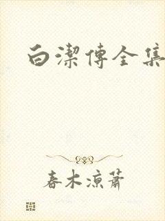 白洁传全集