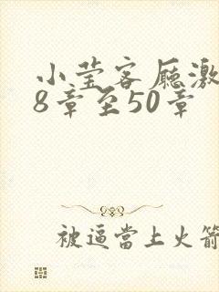 小莹客厅激情38章至50章