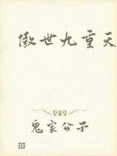 傲世九重天小说