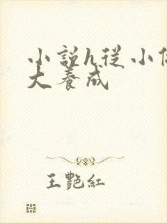 小说h从小做到大养成