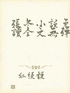 张冬小说免费阅读全文无弹窗封面