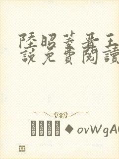 陆昭菱晋王的小说免费阅读