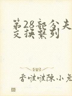 第28部分夫妇交换系列