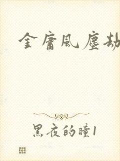 金庸风尘劫