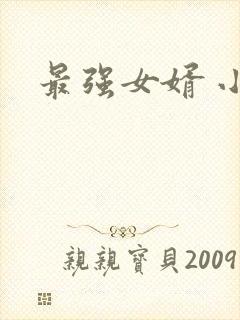 最强女婿 小说