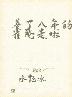 养了八年的金丝雀飞走啦