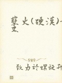 孽火(硬汉)今又