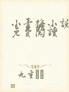 小青梅小说全文免费阅读