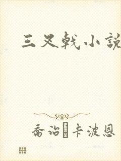 三叉戟小说