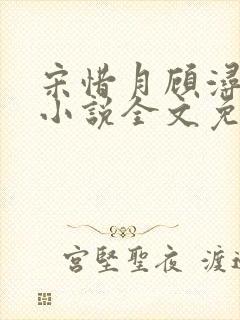 宋惜月顾浔渊的小说全文免费阅读
