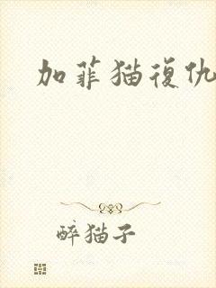 加菲猫复仇记封面