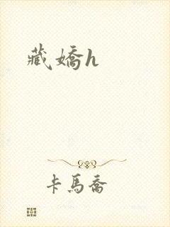 藏娇h