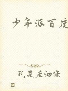 少年派百度百科