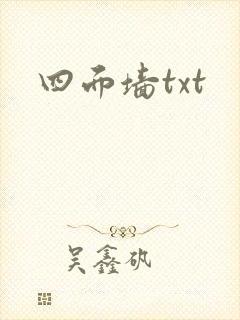 四面墙txt封面