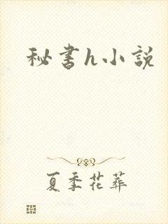 秘书h小说封面