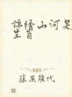 锦绣山河是什么生肖