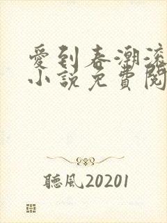 爱到春潮滚滚来小说免费阅读
