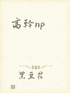 高干np