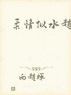 柔情似水赵雅儿封面