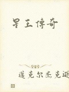 星王传奇