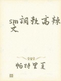 sm调教高辣h文