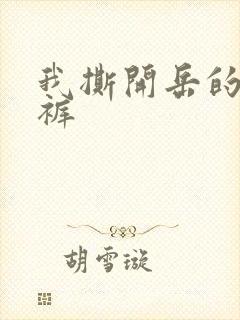 我撕开岳的丁字裤封面