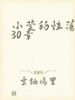 小莹的性荡生活30章封面
