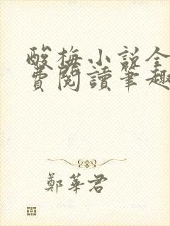 酸梅小说全文免费阅读笔趣阁封面