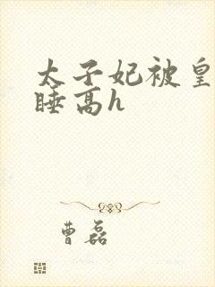 太子妃被皇上强睡高h