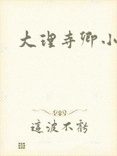 大理寺卿小说