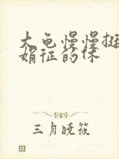 大龟慢慢挺进张娟征的休