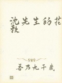 沈先生的花式管教