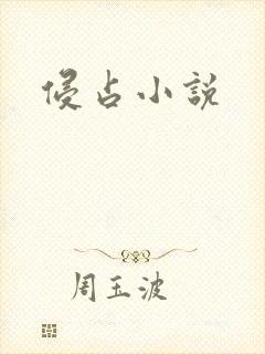 侵占小说