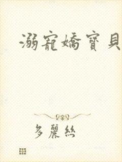 溺宠娇宝贝封面