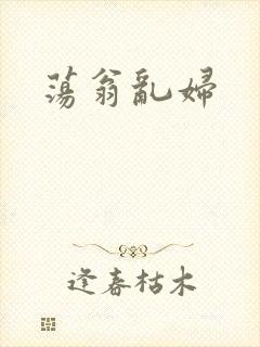 荡翁乱妇