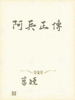 阿兵正传封面