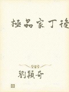 极品家丁后传