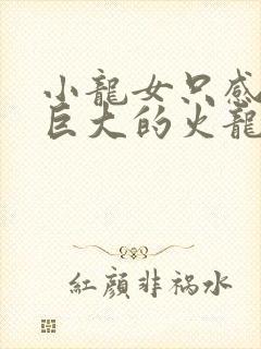 小龙女只感觉那巨大的火龙枪封面