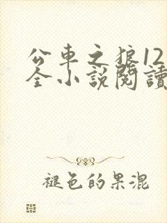公车之狼12集全小说阅读