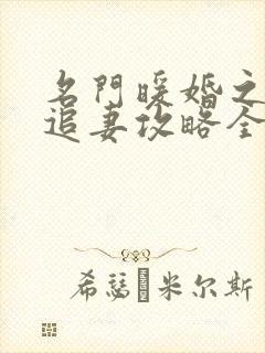 名门暖婚之权爷追妻攻略全文免费阅读