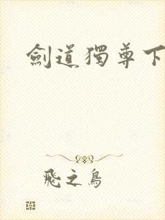 剑道独尊下载