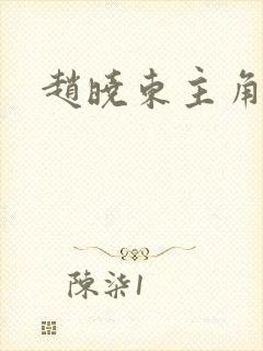 赵晓东主角小说
