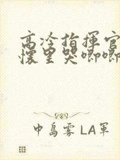 高冷指挥官在我怀里哭唧唧第二季