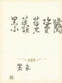黑莲花攻略手册小说免费阅读封面