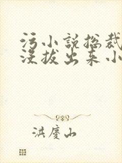污小说总裁整夜没拔出来小说在线阅读