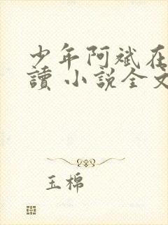 少年阿斌在线阅读 小说全文免费