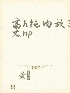 高h纯肉放荡h文np