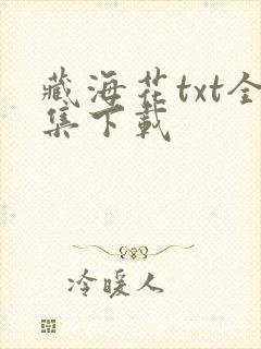 藏海花txt全集下载