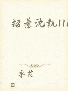 招惹沈执11h封面